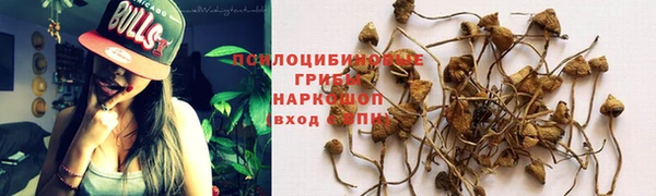 спайс Липки