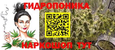 сатива Волгодонск