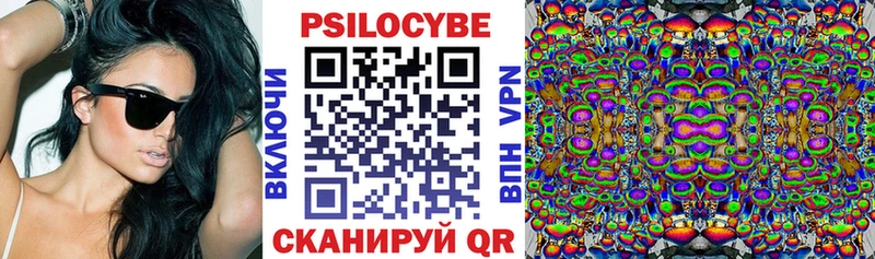 Галлюциногенные грибы Psilocybine cubensis  гидра tor  Тосно 