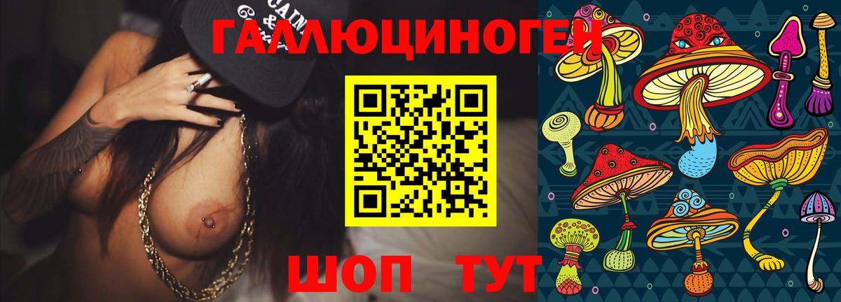 Галлюциногенные грибы MAGIC MUSHROOMS  Вход с VPN  где можно купить наркотик  Тосно 