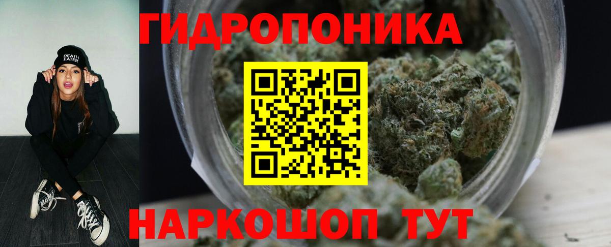 Тосно  Марихуана Amnesia  Шишки марихуана White Widow  Вход с VPN  Каннабис план 